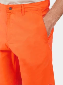 Online Dave Shorts Shortsit